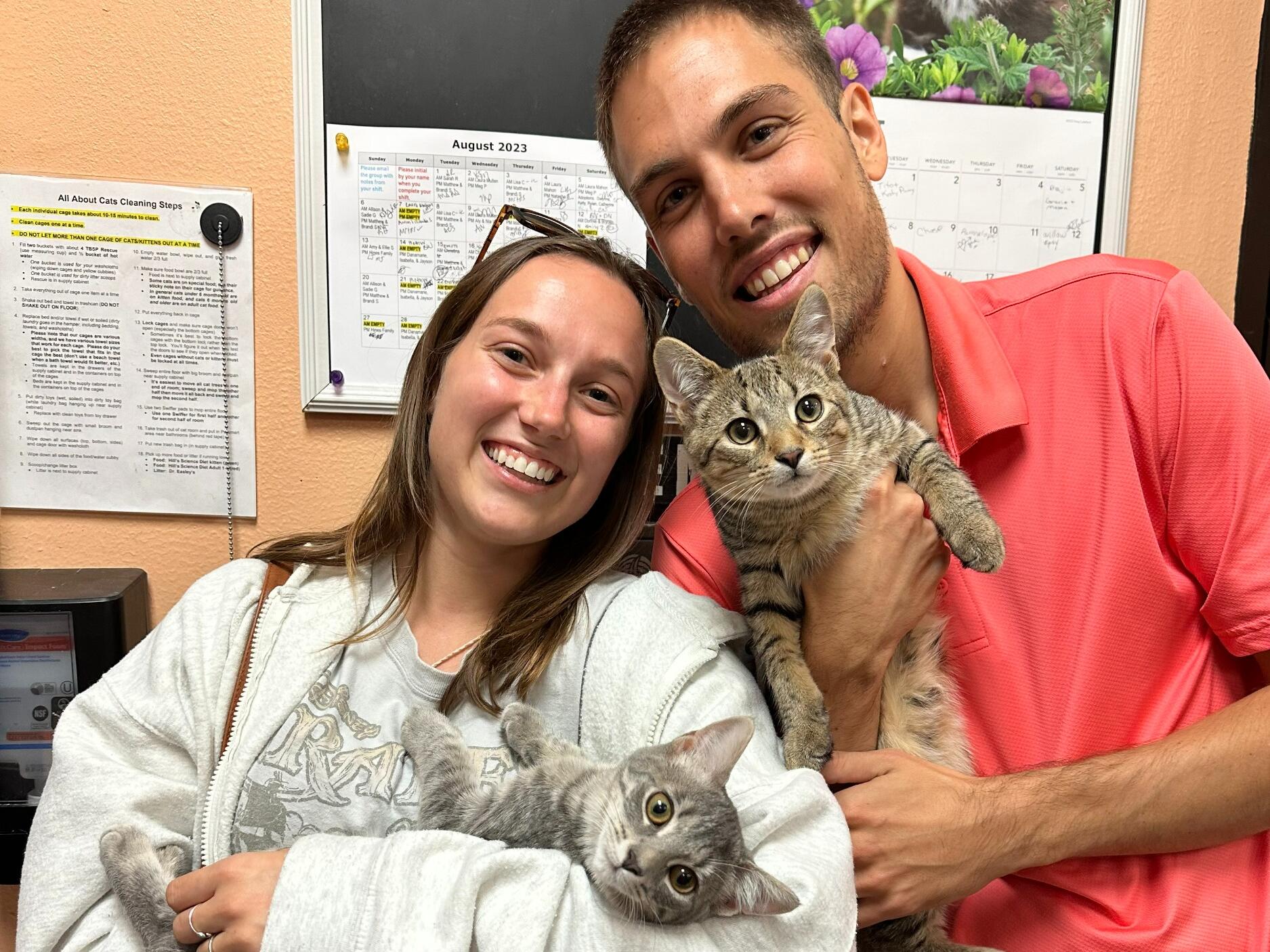 The day we adopted our cats, Gob and Junimo