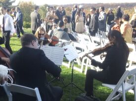 Dolce DaVita Strings, LLC - Chamber Music Trio - Edison, NJ - Hero Gallery 3