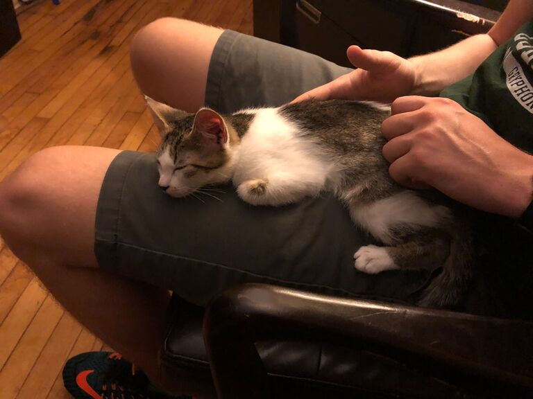 The summer before our senior year of college we adopted Sunny