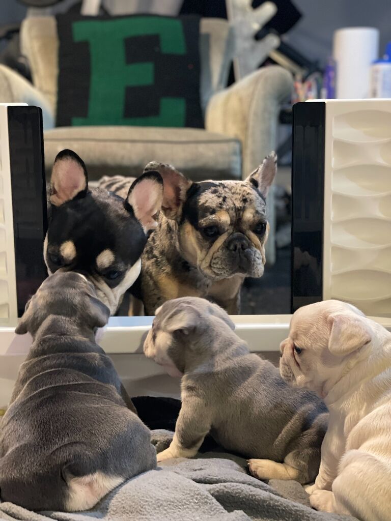Athena meeting her nieces for the first time