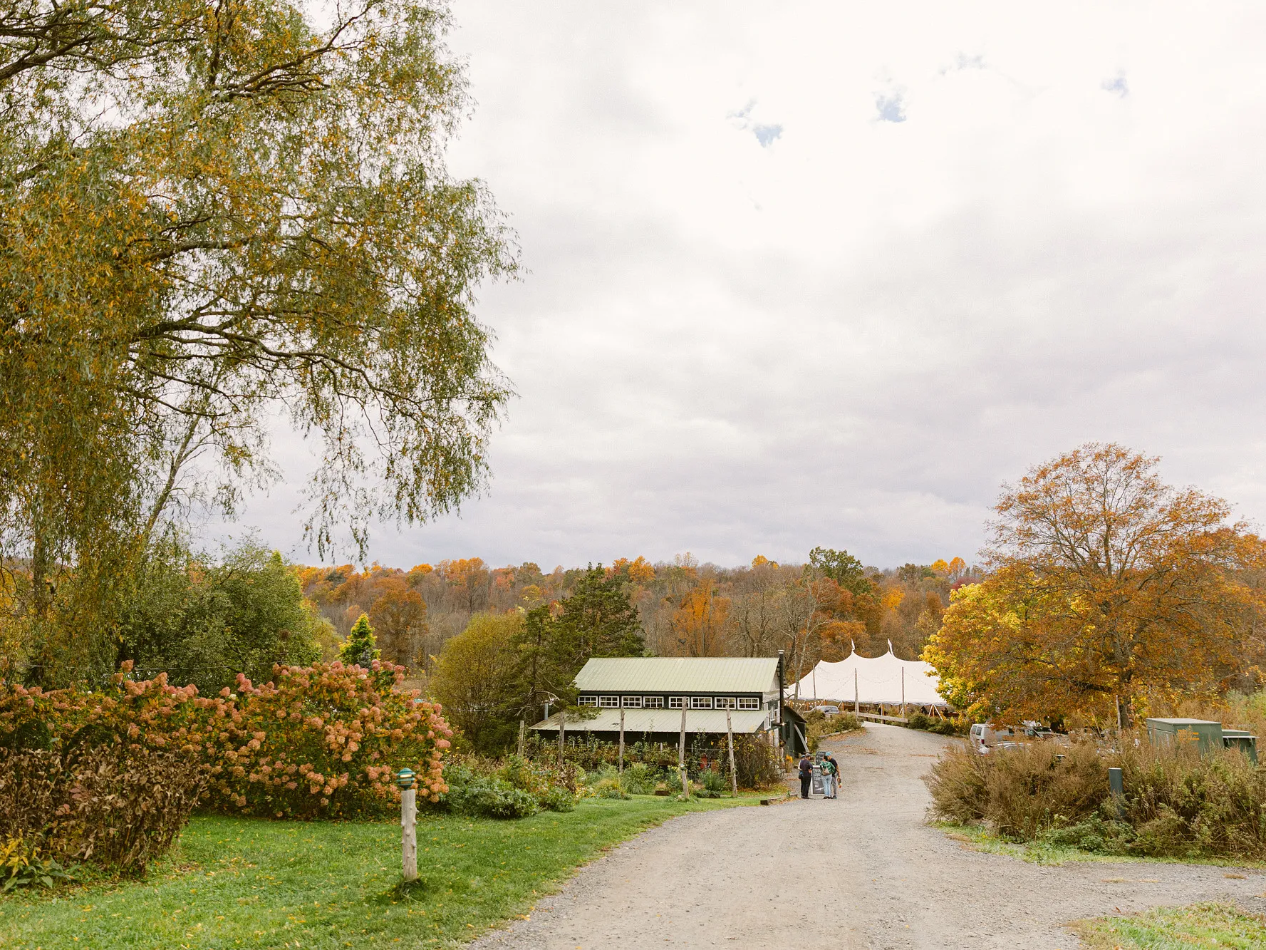 Fall wedding
