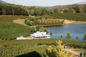 frogtown cellars wedding mountainside celebration liza covington winery luke barbara credit photography