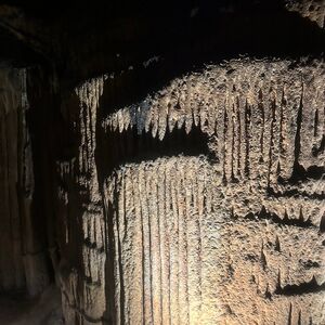 Gallery Photo 2