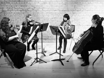 Mill City String Quartet - String Quartet - Minneapolis, MN - Hero Main