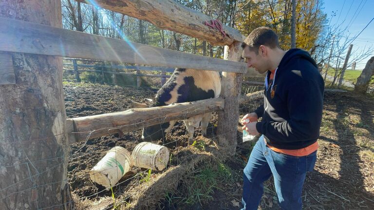 Meet Marshmallow! Our first "Super Date". The moment the "Cow" first presented itself ;)