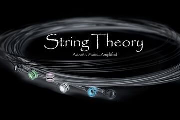 String Theory - Acoustic Band - Gurnee, IL - Hero Main