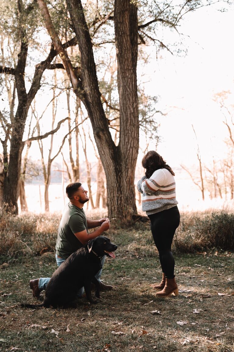 The proposal
