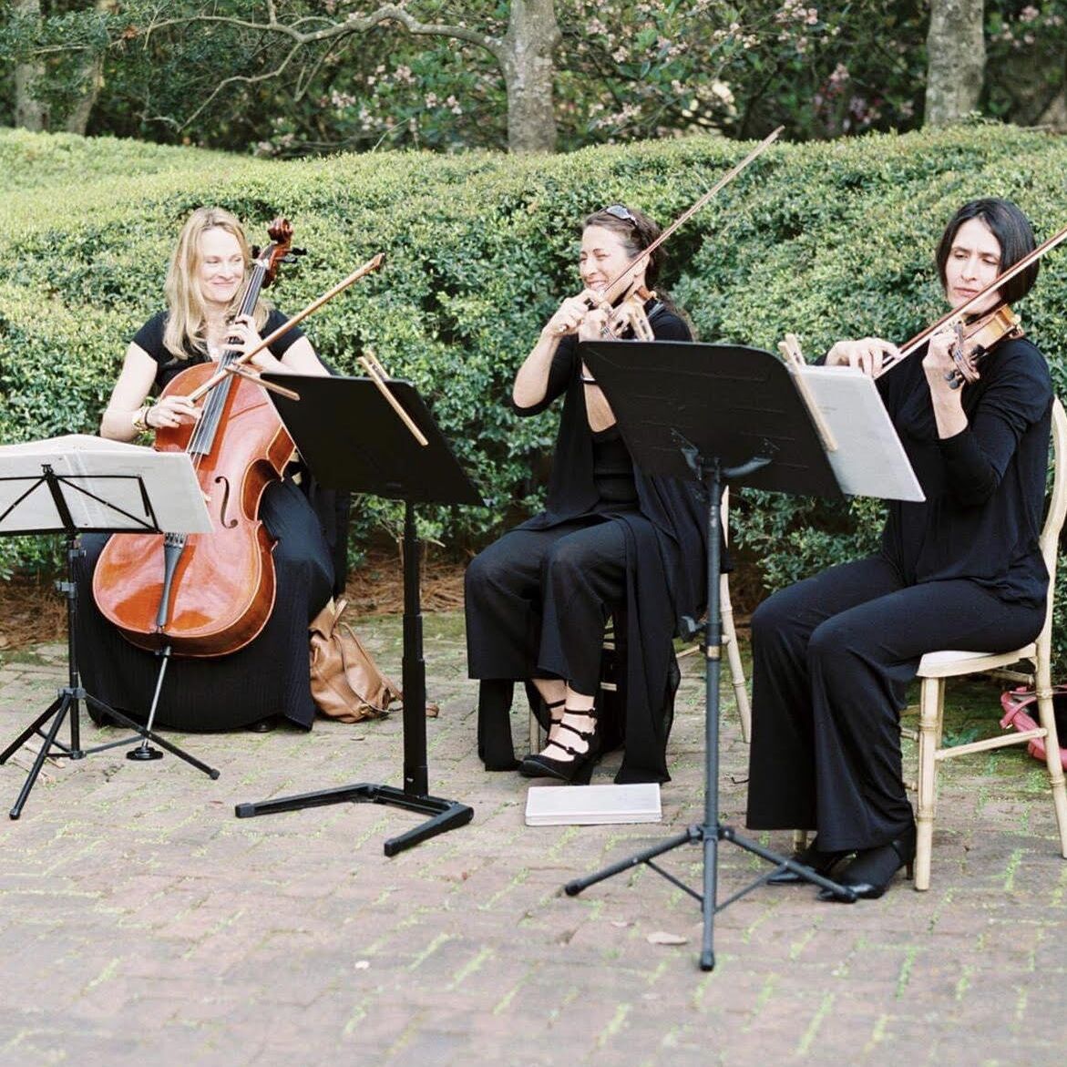Top String Quartets for Hire in Georgia - The Bash