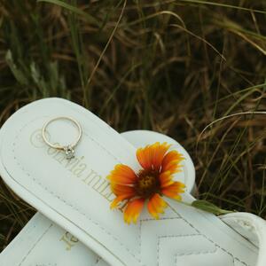 Gallery Photo 18