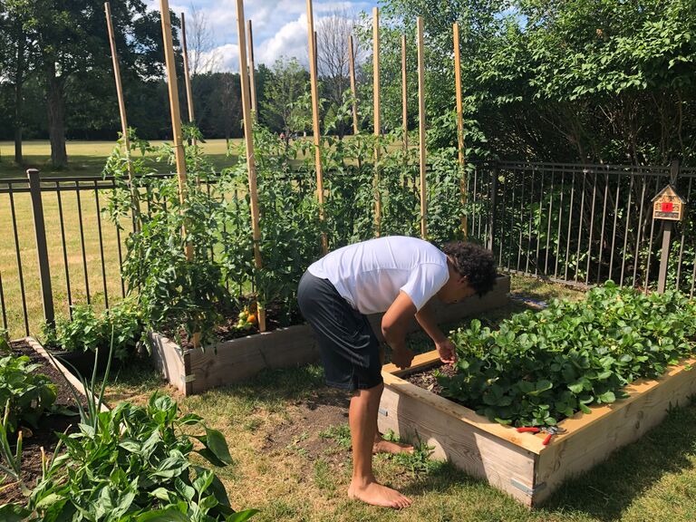 You can see all the upgrades and additions to the garden layout and just how well everything is growing 🥰