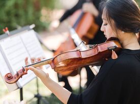 Organic String Quartet - String Quartet - Los Angeles, CA - Hero Gallery 4