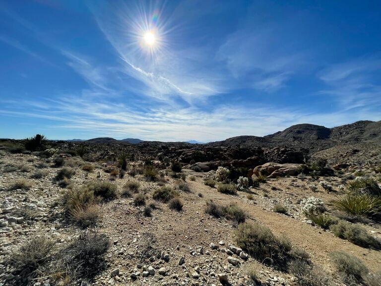 Joshua Tree, CA
