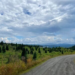 Gallery Photo 25