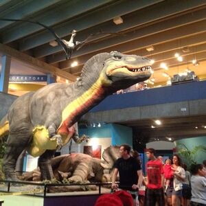 Gallery Photo 36