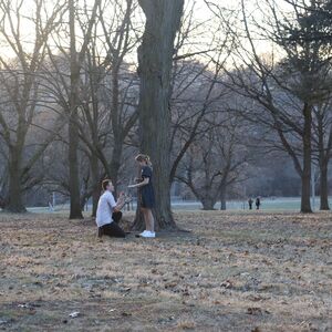 Gallery Photo 8