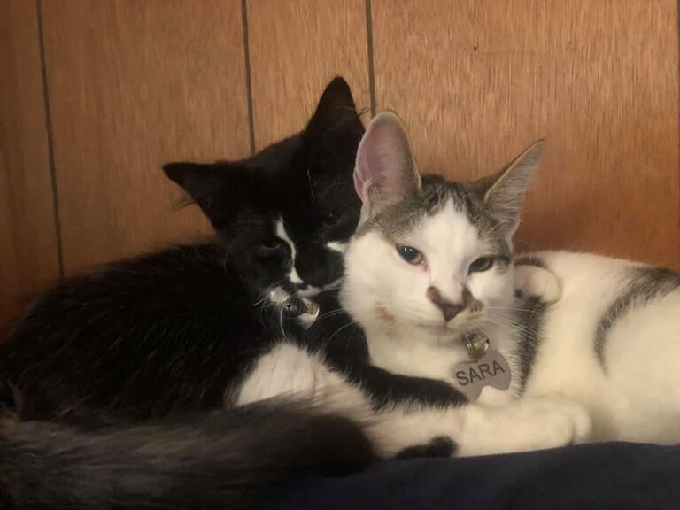 Ravioli and Sara Bean were born! We love our bean children.
