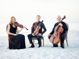 The Vanderbilt Strings - String Quartet - Naples, FL - Hero Gallery 2