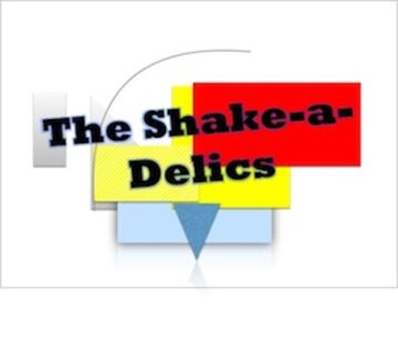 The Shake-a-Delics - Cover Band - Atlanta, GA - Hero Main