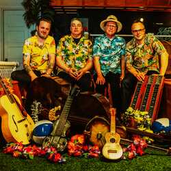 The Swingin' Palms - Hawaiian Band, profile image