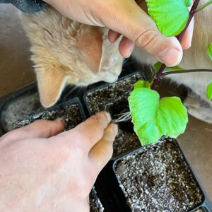 Gallery Photo 29