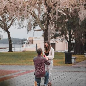 Gallery Photo 24