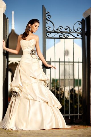 Dreamnette Bridal  Bridal  Salons Roseville  CA 