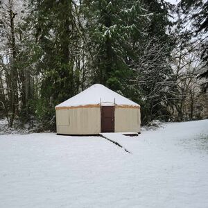 Gallery Photo 5