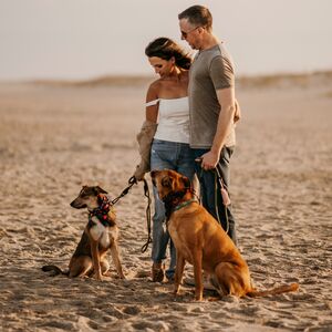 Gallery Photo 46