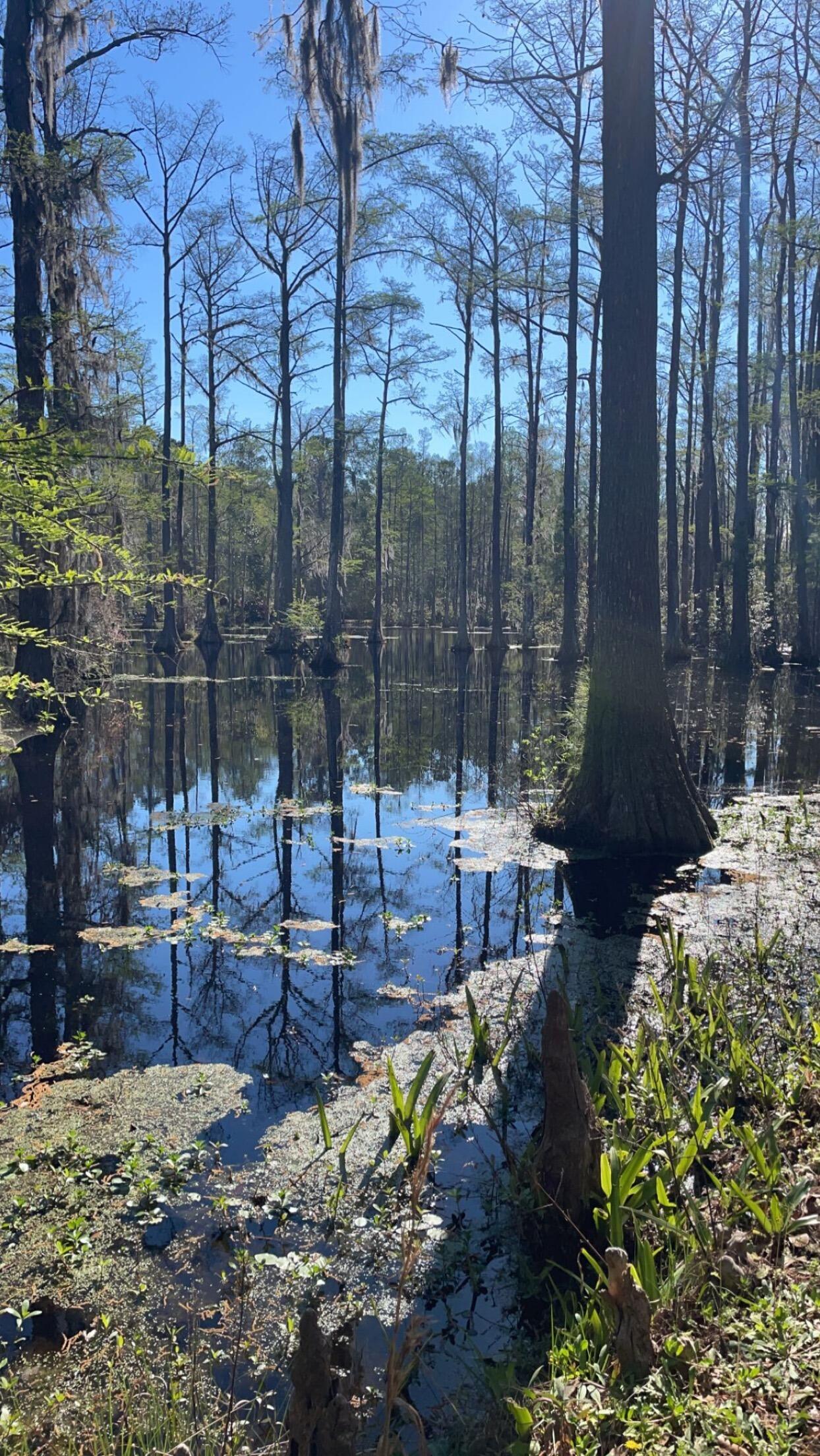 Wedding venue picked!