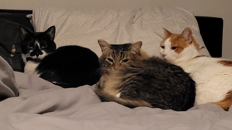 —the other three, of course, are not to be forgotten.