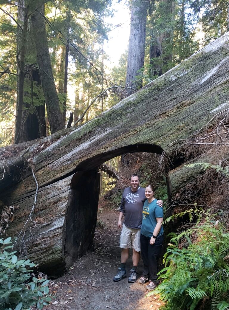 Redwoods National Park
