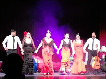 Luna Cale Flamenco Company - Flamenco Band - Deerfield Beach, FL - Hero Main