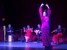 Luna Cale Flamenco Company - Flamenco Band - Deerfield Beach, FL - Hero Gallery 1