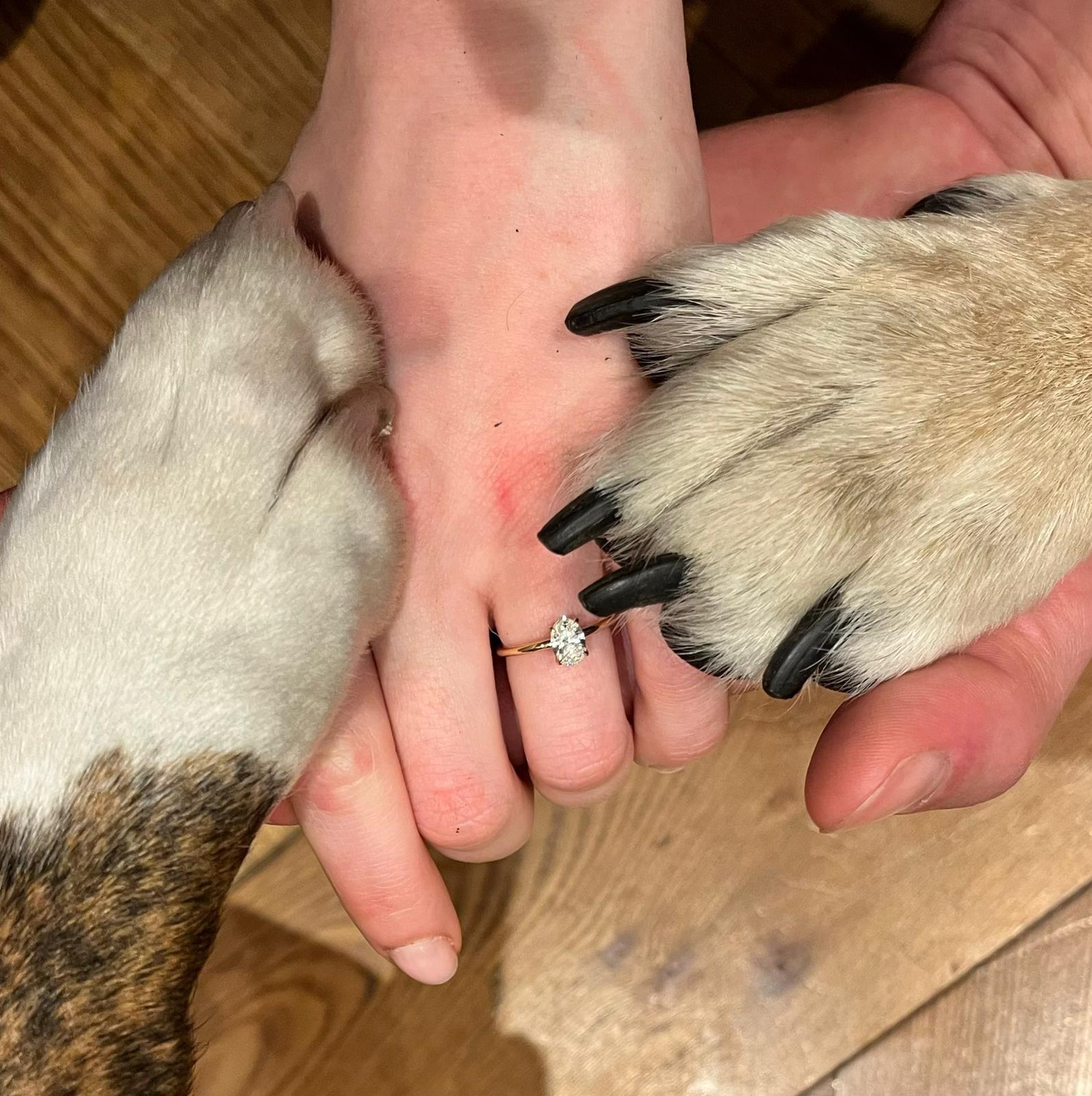 Our First Start To Forever