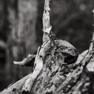 Gallery Photo 1