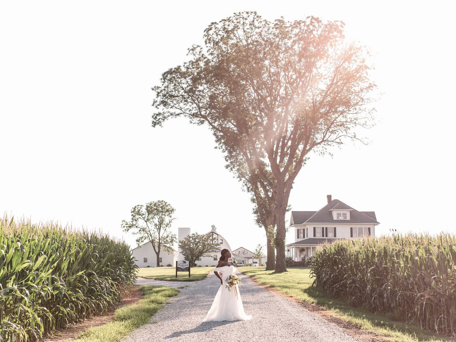 Sun shining down on the Vanderwende Acres venue