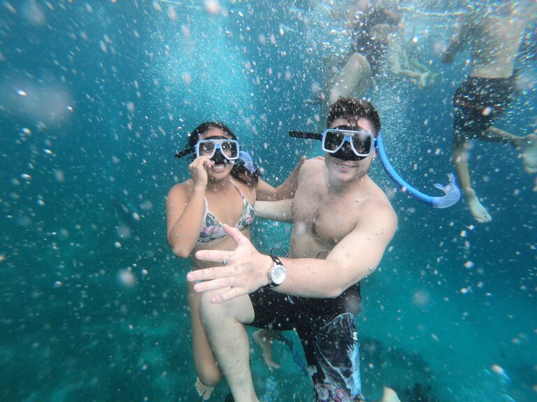 Swimming with Whale Sharks in the Philippines