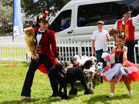 Circus Dog Show by Menestrelli Entertainment, LLC - Animal For A Party - Orlando, FL - Hero Gallery 1