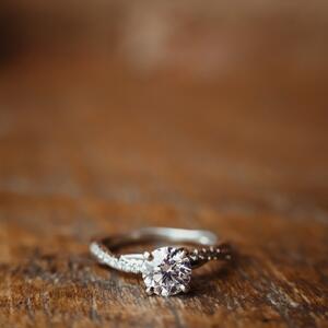 Gallery Photo 36