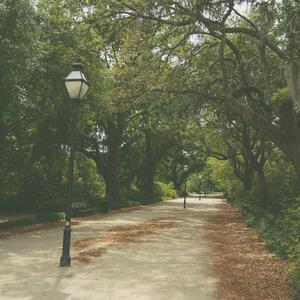 Gallery Photo 3