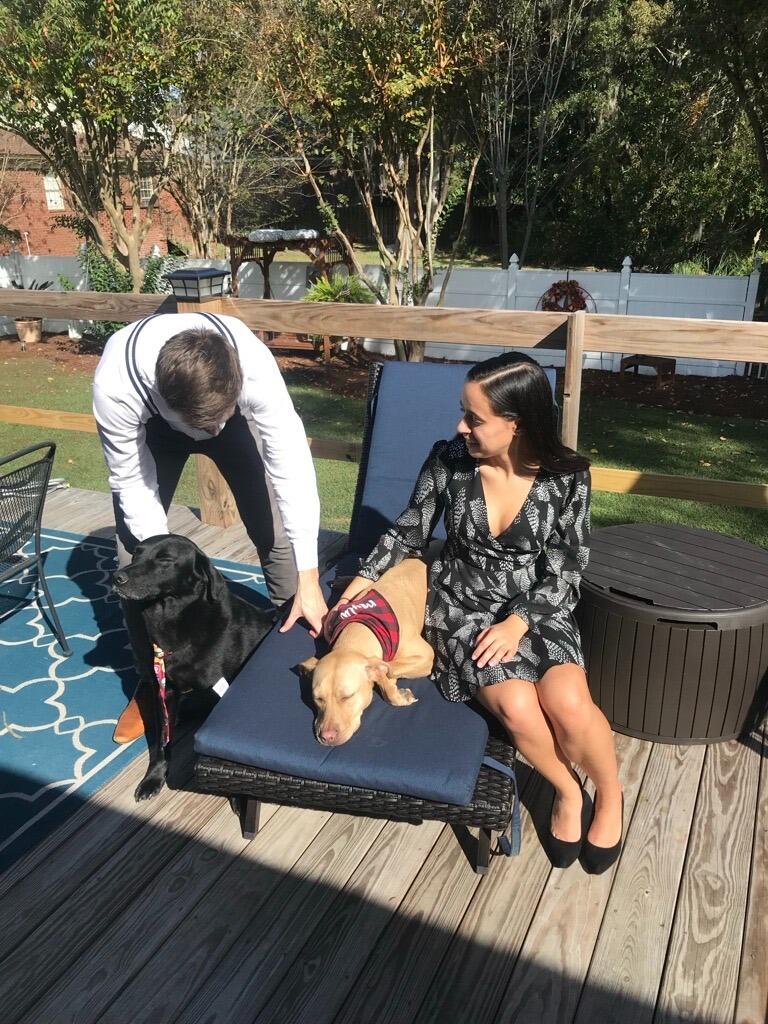 Our first Savannah trip with the pups