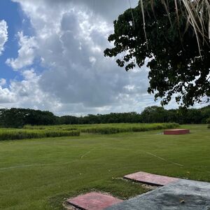 Gallery Photo 52