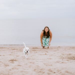 Gallery Photo 53