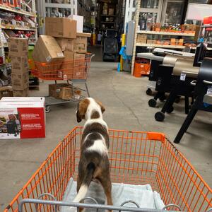 Gallery Photo 37