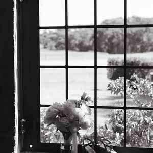 Gallery Photo 15