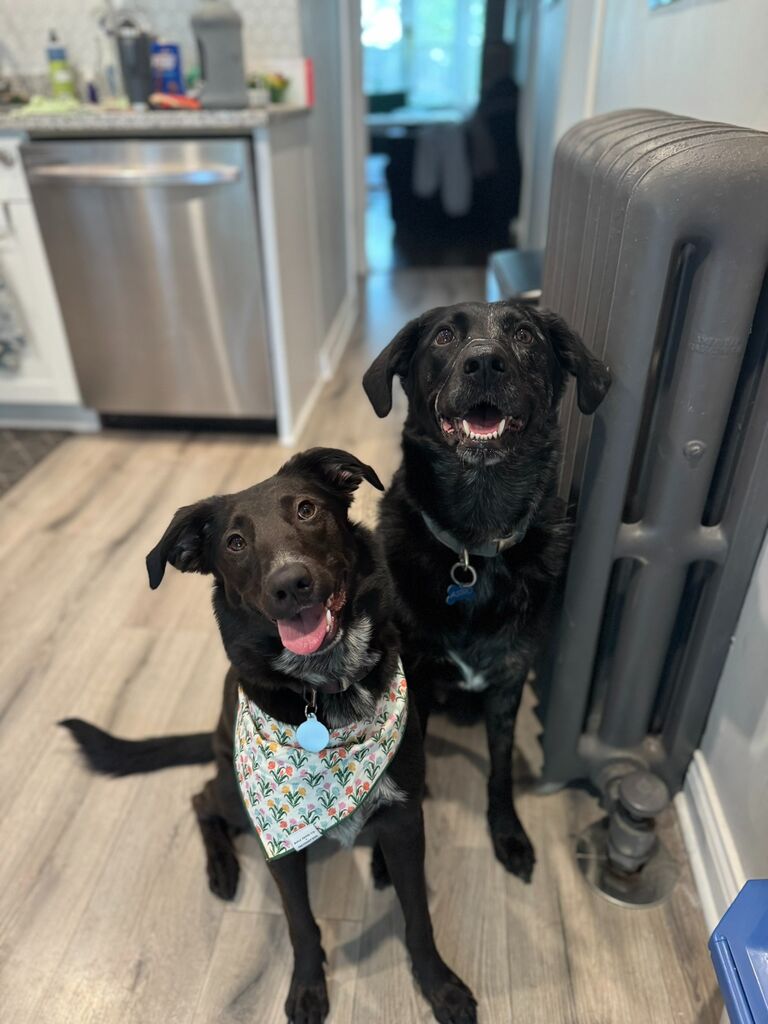 Astro & Birdie are quickly growing on each other. 