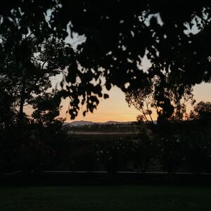 Gallery Photo 61