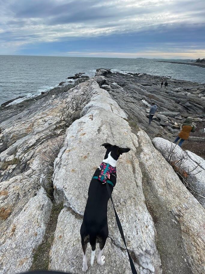 Virginia adventures - just another solid Winnie picture. Look at that brave girl go!