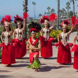 Mahana Dance Company, profile image