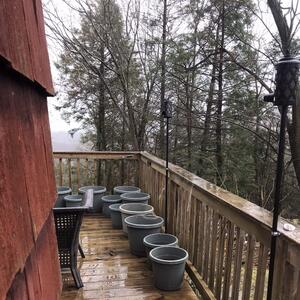 Gallery Photo 39
